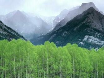 Mountain Mist Alberta Rocky Mountains Canada Wallpaper