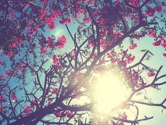 Things To Do Before Spring Indwe Risk Services