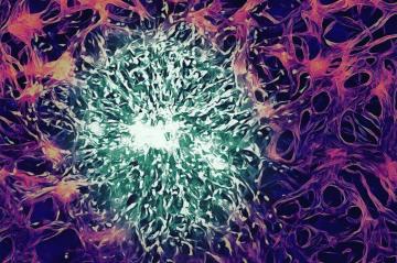 Engineers Develop Nanoparticles That Cross The Blood Brain Barrier