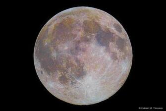 Tree Former Full Moon HD Nature Wallpaper Source