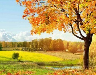 Fall Computer Wallpaper Desktop In HD