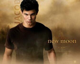 Taylor Lautner Wallpaper Highlight