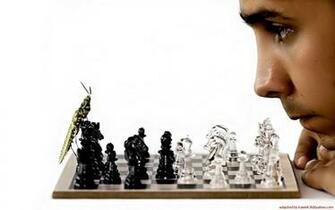 Chess Stuffzz HD Cool Wallpaper For Desktop