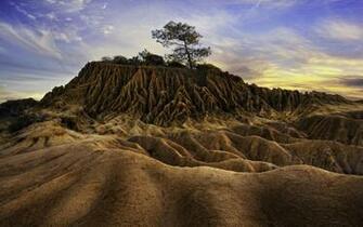 Leafed Tree Landscape Nature South Dakota Badlands National