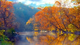 Nature Trees Wallpaper Lakes Reflections