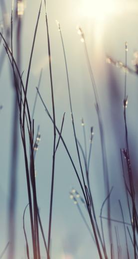 Ios Wallpaper For iPhone Ipod Touch iPad Tip Tech