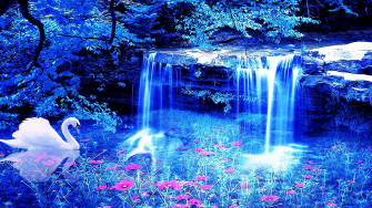 Cool Beautiful Wallpaper