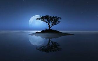 Tree On The Lonely Island Wallpaper HD