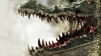 Alligator Wallpaper
