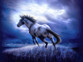 Cute Baby HD Wallpaper