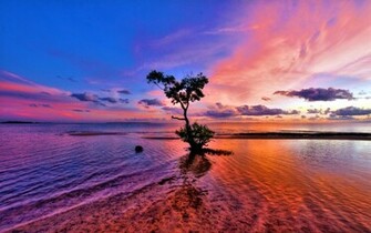 Beautiful Pink Sunset Original Beach Wallpaper HD