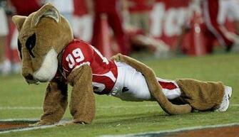 University Of Houston Mascot For