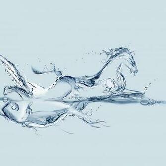 Other Measures Wallpaper Water Horse And Fish