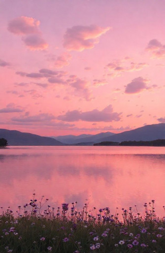 Pink Sky Wallpaper