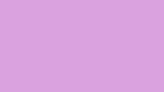 Plum Web Solid Color Background
