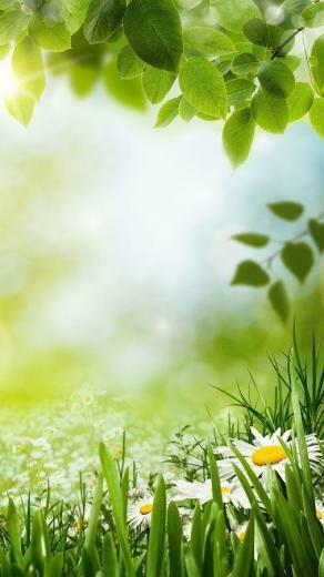 Green Spring Live Wallpaper Android Apps On Google Play