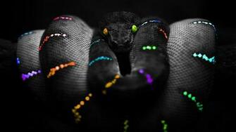 Rainbow Snake Computer Wallpaper Desktop Background