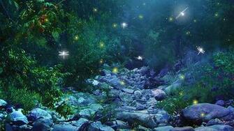 Firefly Night Glow Lights Wallpaper