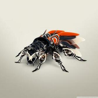 Biomechanics African Bee 4k HD Desktop Wallpaper For Dual