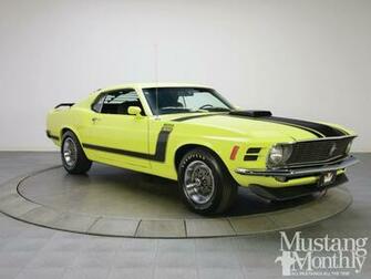 Mump Boss Photo Mustang