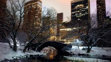 Winter Wallpaper HD New York City Central Park