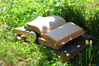 Reading Books Wallpaper Image