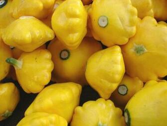 Yellow Cucurbita Pepo Squash By Fantasystock