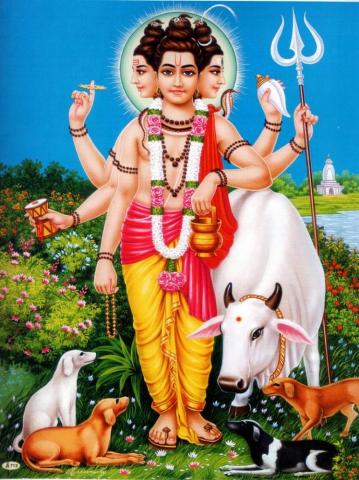 Dattatreya Junglekey In Image