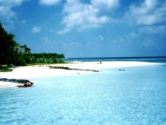 Tropical Beach Wallpaper Desktop