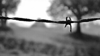 Barb Wire Wallpaper