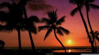 Tropical Wallpaper Sunset Desktop Image