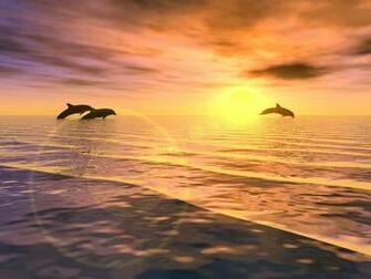 The Dolphin Desktop Wallpaper Fine Wallpaper