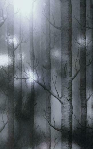 Silver Birch Wallpaper Various Wall Finishes