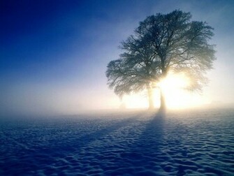 Winter Scenes Wallpaper Which Is Under The