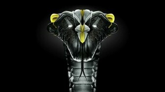 Nike Elite Logo Wallpaper Kobe