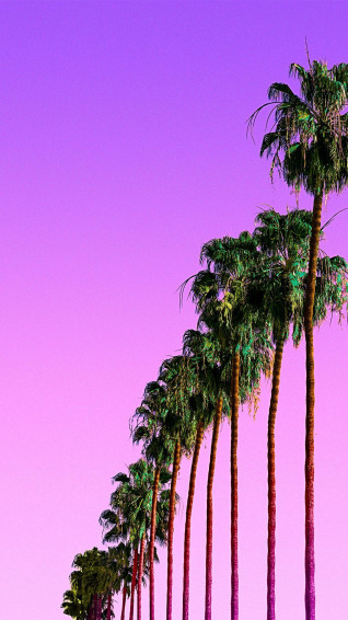 Purple Tree Wallpaper