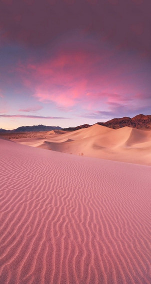 Desert Aesthetic Wallpaper