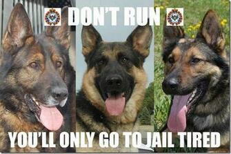 Police Dogs Had A Message For Us