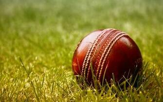 Cricket Wallpaper For iPhone New