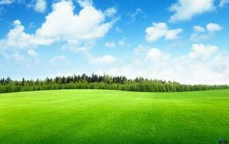 Green Grass X Widescreen Desktop Wallpaper And Photos
