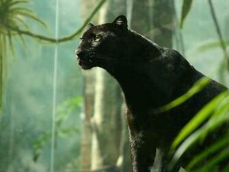 HD Wallpaper Pics Black Panther