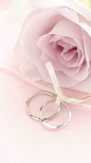 Pink Rose With Rings Wallpaper iPhone