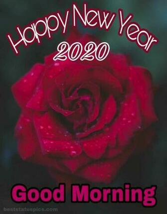 Good Morning Happy New Year Whatsapp Dp Status Image Best