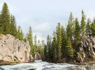 HD Environment Wallpaper Hidden On Apple To Celebrate Earth Day
