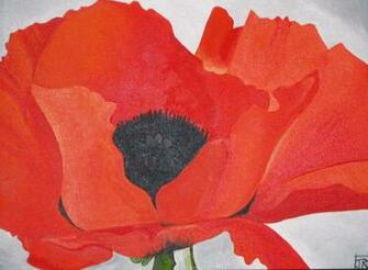 Georgia O Keefe Red Poppy By Thericebros