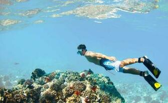 Boss Frogs Header Background Snorkeling Tips