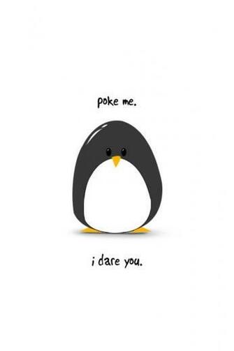 Words Fat Penguin My Fave Quotes Funny Wallpaper