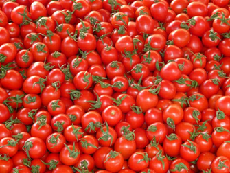 Tomatoes Texture Background