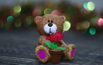 Wallpaper Background Toy Bear Figurine Bokeh Image For