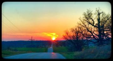 Wallpaper Sunlight Landscape Sunset Nature Grass Branch